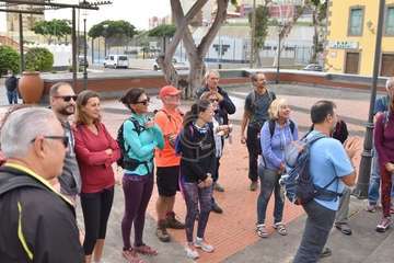 Éxito de la ruta de los árboles de Jinámar organizada por Turcón/TA.